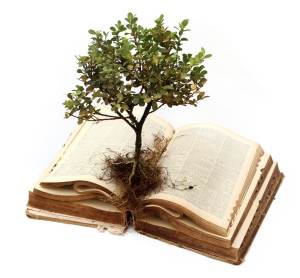 tree+book