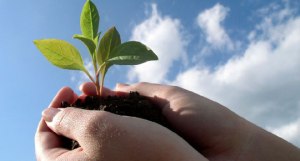 performance-potential