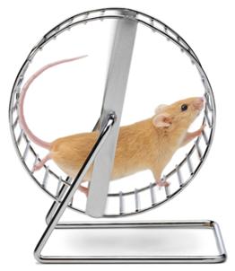 hamster wheel