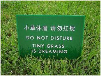 keep off the grass
