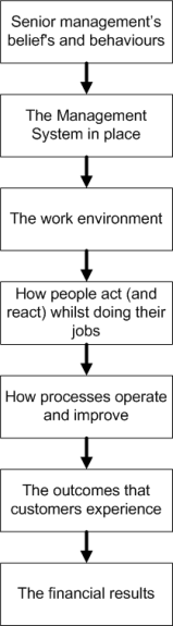 mgmt-cause-and-effect