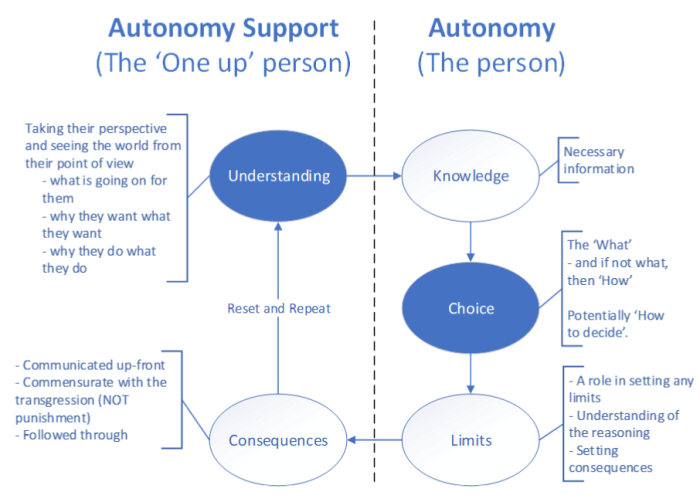 Autonomy Support from Paint