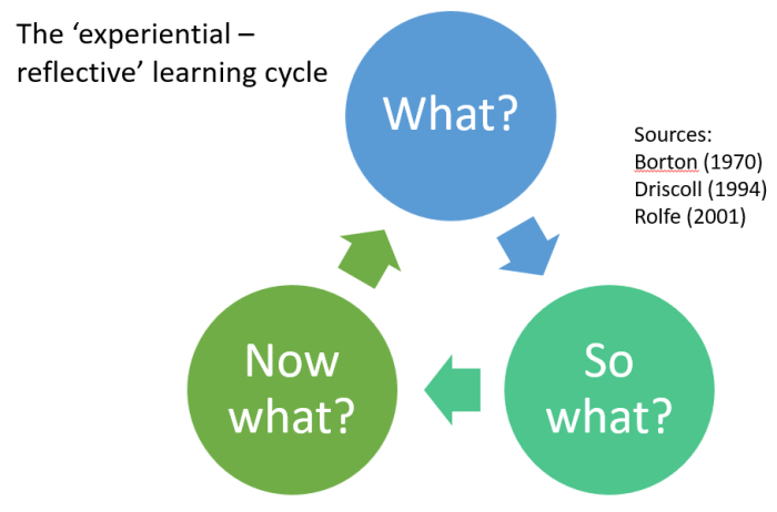 Single-loop vs. Double-loop learning | Squire to the Giants